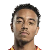 Player EA FC 27 player photo